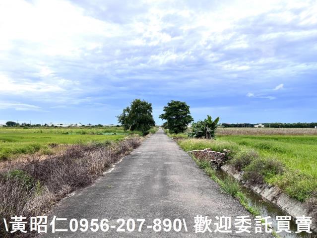 台南農地-1