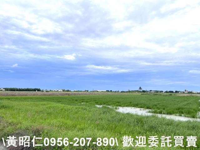 台南農地-3