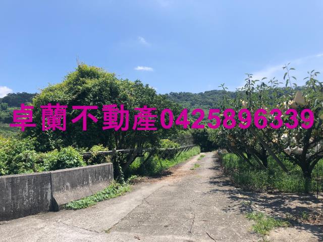 苗栗卓蘭農地-1