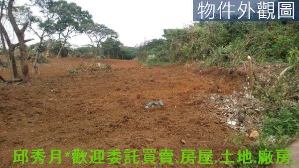 新北淡水農地-4