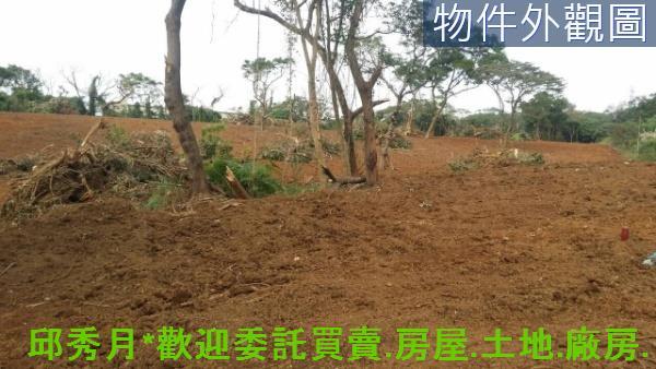 新北淡水農地-5