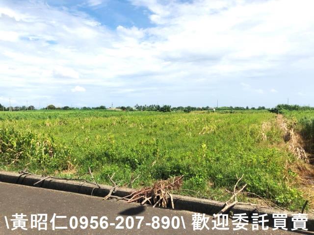 台南農地-4