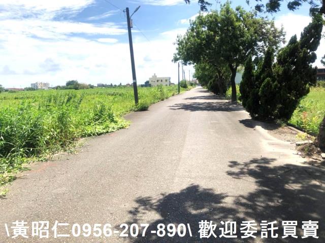 台南農地-6