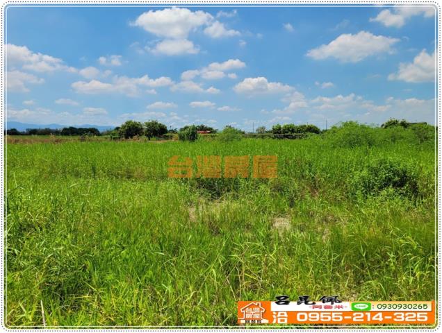 鹿草農地-4