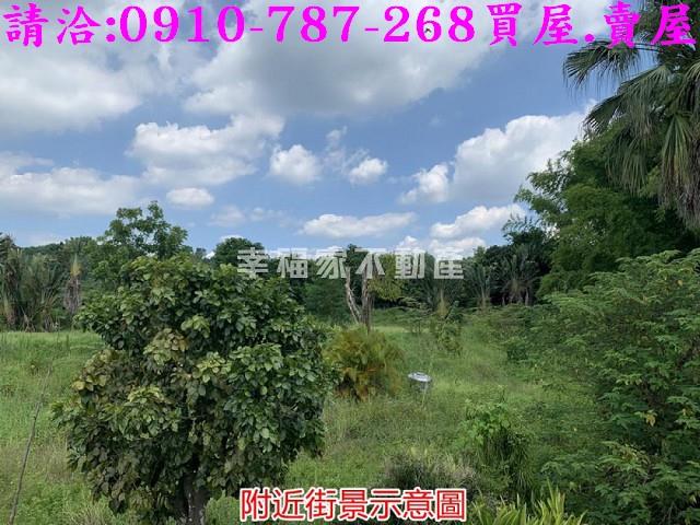 台南大內農地-15
