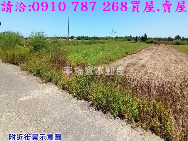 台南農地-10