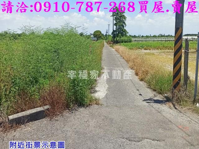 台南農地-4