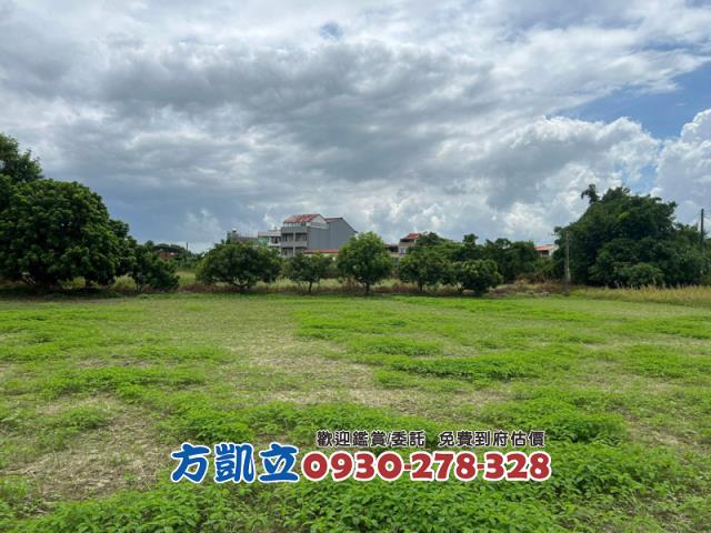 台南鹽水農地-6