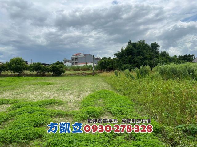 台南鹽水農地-7