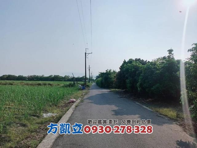 善化農地-5