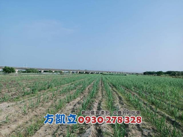 善化農地-6