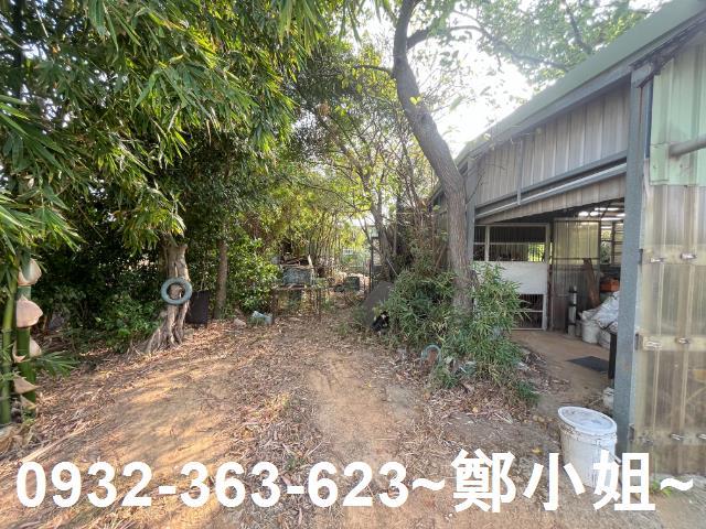 桃園新屋農地-7