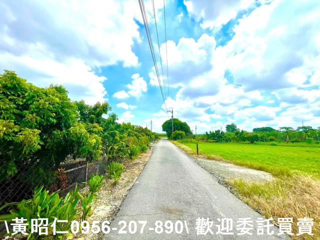善化農地-3