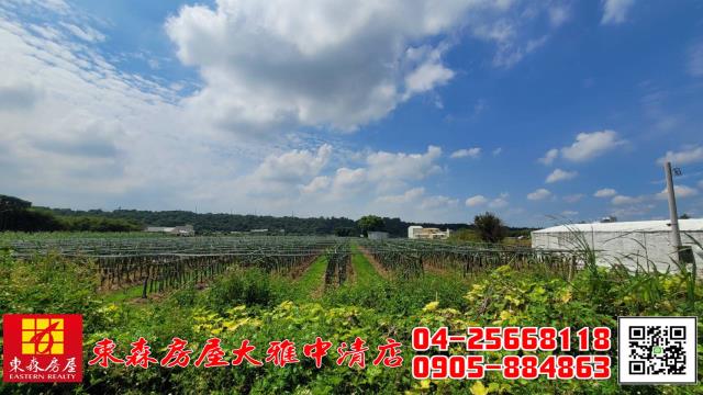 外埔農地-3