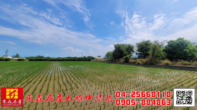 外埔農地-4