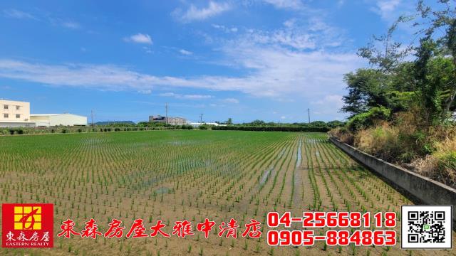 外埔農地-5