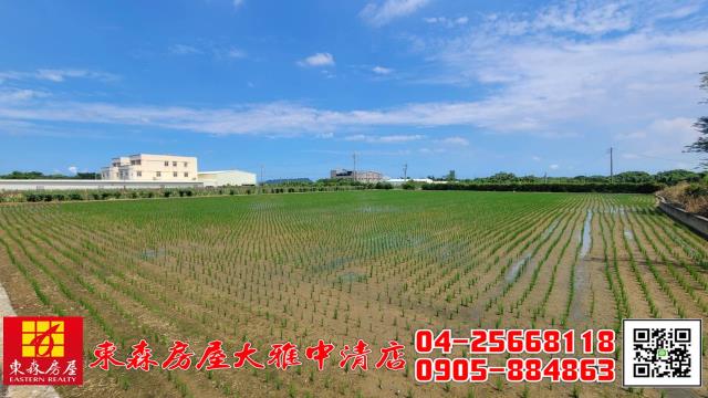 外埔農地-6