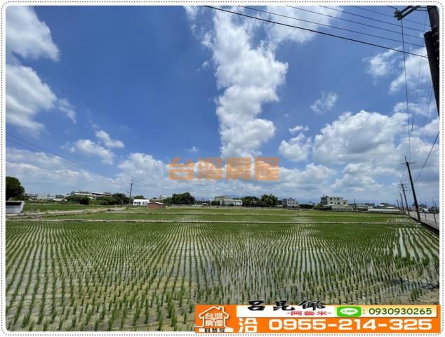 大林農地-6