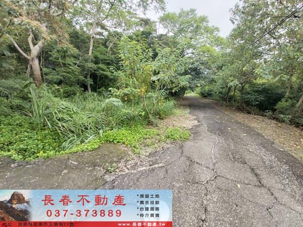 頭屋農地-1