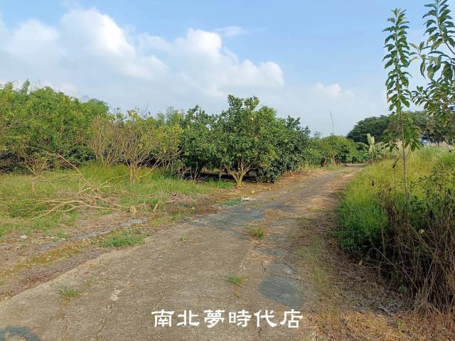 左鎮農地-9