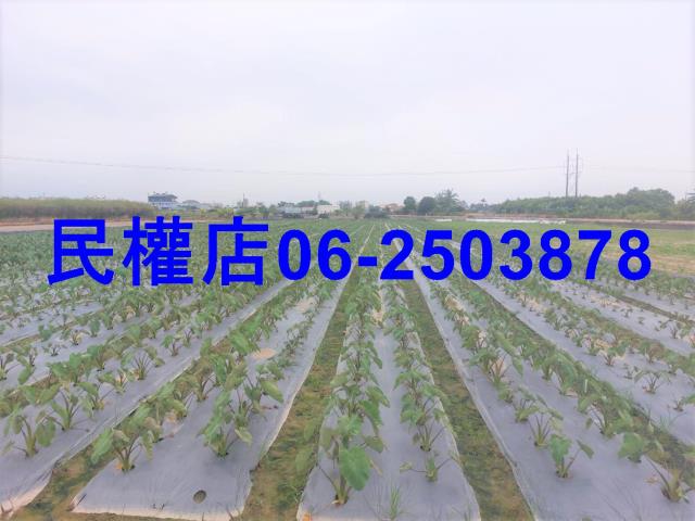 台南農地-4