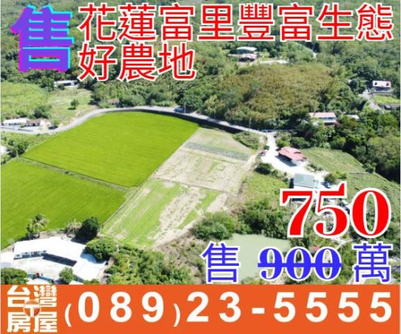 花蓮富里生態好農地