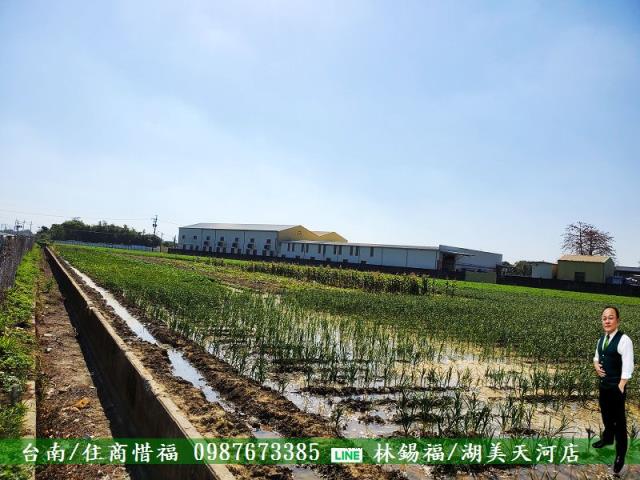 佳里農地-4