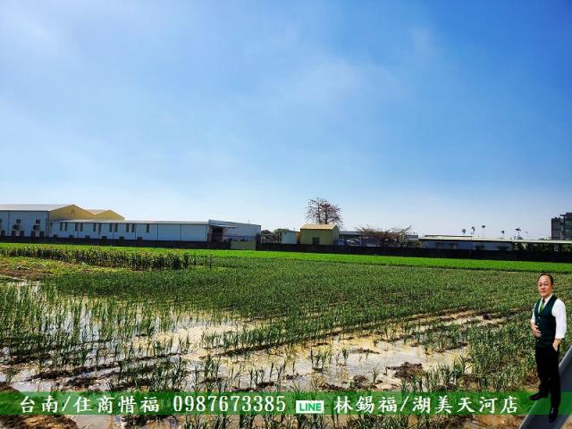 佳里農地-6