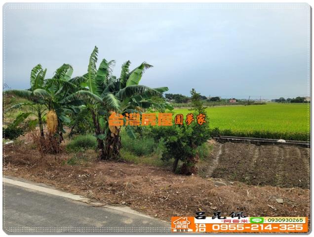 嘉義農地-3