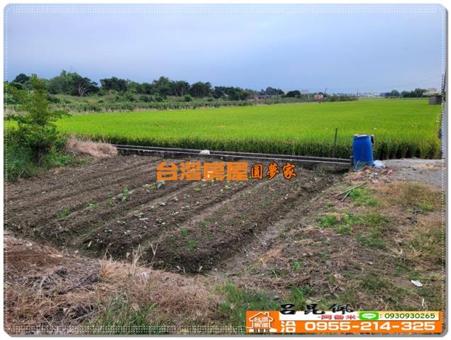 嘉義農地-4