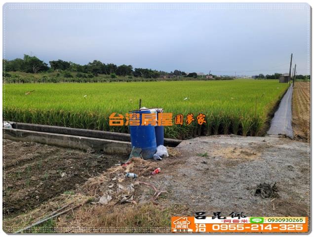 嘉義農地-5