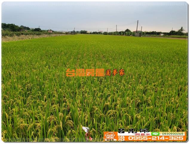 嘉義農地-6