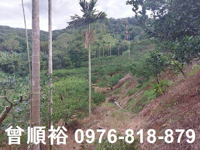 新竹農地-10