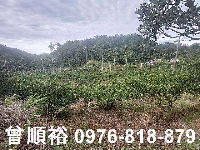 新竹農地-11