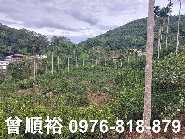 新竹農地-1