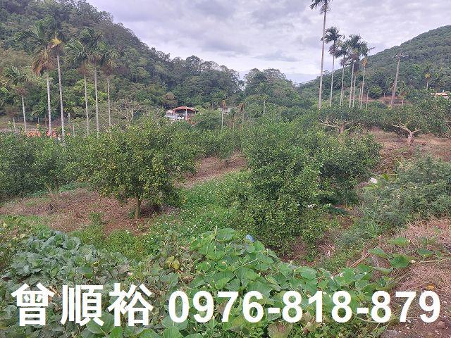 新竹農地-2