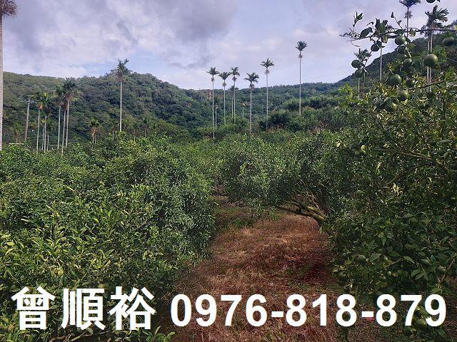 新竹農地-4