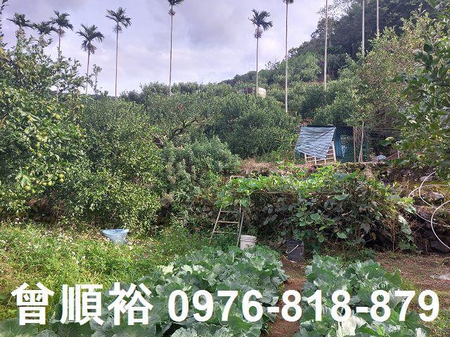 新竹農地-5