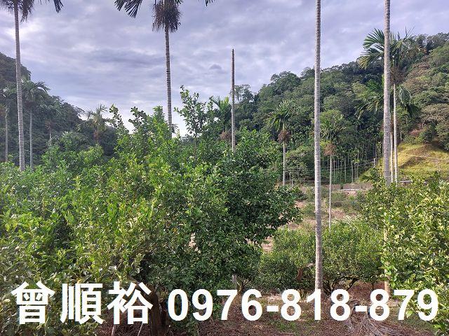 新竹農地-6