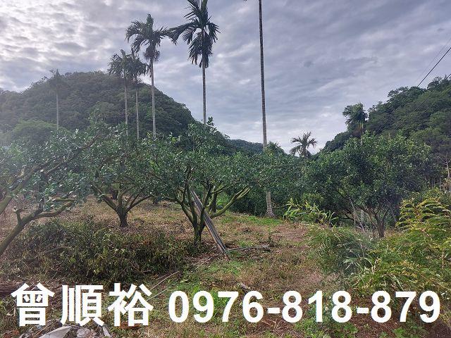 新竹農地-9