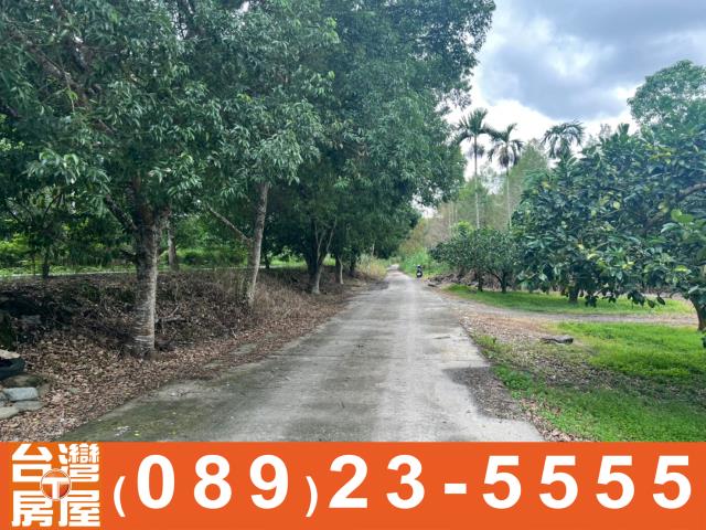 台東房地產買賣