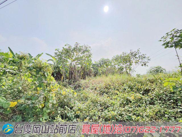 阿蓮農地-15