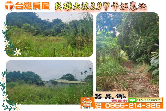 民雄農地-1