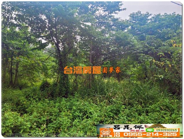 民雄農地-6