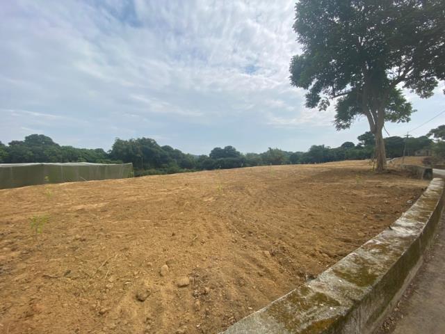 台南大內農地-1