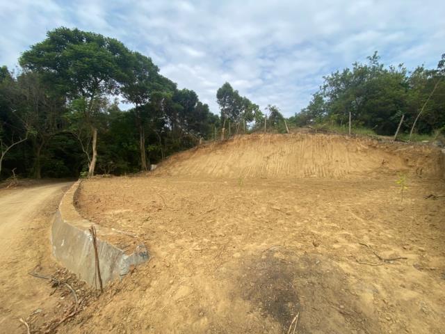 台南大內農地-11