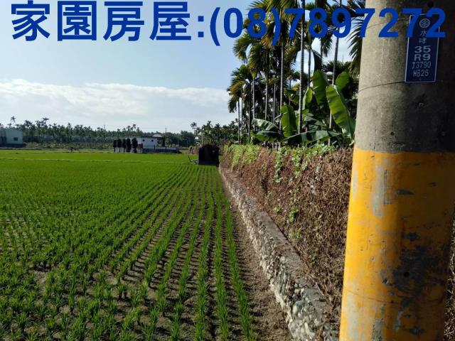 屏東潮州農地-2