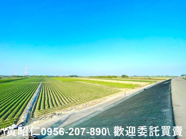 安南農地-1