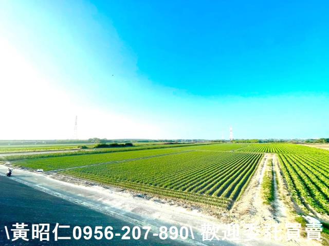 安南農地-4