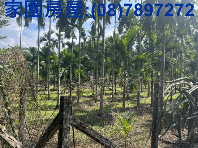 屏東潮州農地-3